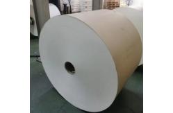 China Customizable Logo Paper Cup Raw Material 100% Biodegradable Eco Pulp Friendly Waterproof supplier