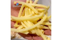 China Stainless steel commercial slicer multi-functional potato radish fruit slicing machine supplier
