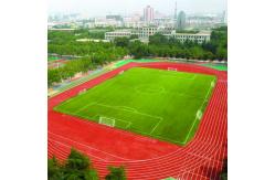 China Permeable UV Resistance Rubber Running Track Material Sound Reduction supplier