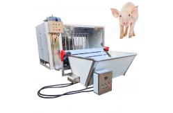 China Pig Hair Remove Machine  Pig Slaughtering Machinery Pig Hair Removal Machine supplier