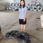 Deterrent Inconspicuou Discreet Security Border Entanglement Trap Subtle Deterrent Invisible Wire Net Russia Tank Trap for sale