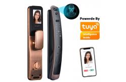 China Wifi Tuya Smart Lock 3D Access Control Face Recognition Door Lock supplier