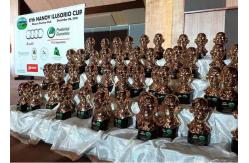 China Resin Material Custom Trophy Cup Honor People / Event Style With Gift Box supplier