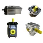Hydraulic Machine Eckerle Internal Gear Pump EIPH6-160RB23 EIPH6-064RK23 for sale
