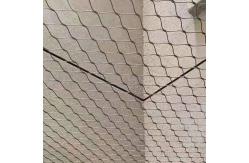 China Custom Zoo Wire Meshing For Animal Cages In SS304 SS316 SS316L supplier