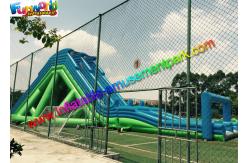 China Popular Giant Commercial Inflatable Slide Hippo Obstacle Slide With PVC Tarpaulin supplier