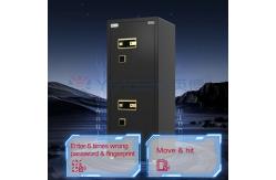 China Dual-Compartment Home Safe Box Dual Alarm Large Private Inner Lock Box supplier