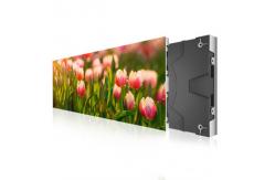 China Compact  supplier