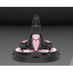 Amusement Park High Torque 7.2Nm Motor Electrical Go Kart 750w 28km/H for sale