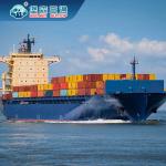 FOB EXW Global Shipping Logistics , LCL Sea Freight China To Germany for sale