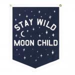 Colored Polyester Felt Pennant Flag For Business School Event for sale