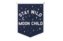China CMYK Printing Polyester Custom Felt Pennant For Advertising Activity supplier