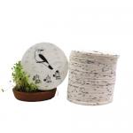 0.8mm Paper Blank Seed Embedded Cards 100 Sheet Eco Friendly for sale