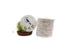 China 0.8mm Paper Blank Seed Embedded Cards 100 Sheet Eco Friendly supplier
