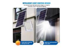 China 200W Cool White Solar Landscape Flood Lights With Remote Control supplier