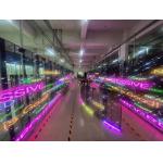 Transparent LED Screen P3.91-7.82 6.2kg Cabinet Weight for Customer Requirements for sale