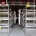 SGS Automatic Broiler Chicken Cage ISO9001 Q235A Hot Dipped Galvanized for sale