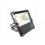 RGB 30W Spot Light AC100-277V Floodlight Fixtures for Park and Garden