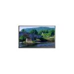 in stock 14.0 inch N140BGA-EA4 Rev.C2 1366*768 eDP LCD Screen for sale