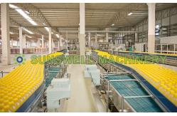 China 500ml Drink Juice Filling Machine Hot Filling With Watermelon supplier