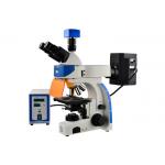 Professional Trinocular Upright Fluorescence Microscope 100W Mercury Lamp