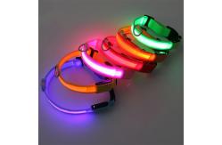 China Hundehalsband Lighted Dog Collars Rechargeable Nylon XS XL LED Pet Collar supplier