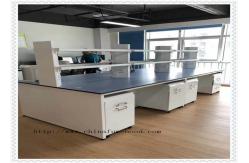 China Free Standing Metal Laboratory Cabinets / Science Lab Workstations supplier