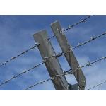 Garden Anti-Theft Anti Climb Double Strand Reverse Twist Barbed Wire for sale