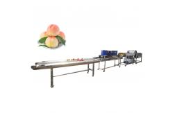 China Hot selling Manual Food Cleaner Vegetable Washer With Best Prices by Huafood supplier