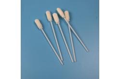 China ABS Stick 10cm Large Round Foam Tip Disposable Sampling Swab Sterile supplier