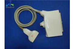 China 6.2 Mhz PLT-805AT Linear 56Mm Ultrasound Scan Probe supplier