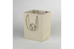 China Recycled Custom Paper Shopping Bag packaging design solutions supplier