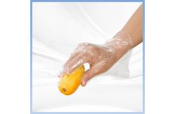 China High Stability Transparent Disposable PE Gloves In Catering Kitchen supplier