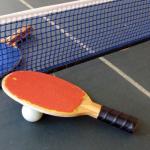 Table Tennis Nets Ping Pong Table Net Green Blue Nylon Customized Color for sale