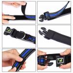 Modern Custom Dog Collar And Leash Adjustable Kit Pet Matching