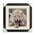 Strong 5d Deep Effect Lenticular Photo Printing 40x40cm Picture Tiger / Wolf