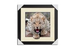 China Strong 5d Deep Effect Lenticular Photo Printing 40x40cm Picture Tiger / Wolf supplier