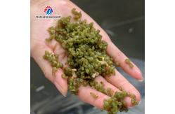 China 85KG Small fruit and vegetable processing equipment stainless steel single cylinder cleaning machine supplier