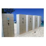 OEM / ODM Smart Electronic Door Locker , Indoor Security Locker For Beach for sale