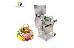 China 600-1000KG/H 220V Industrial Commercial Mushroom Slicer Machine (TS-Q115) supplier