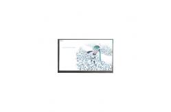 China LC420WUE-SBA1 42.0 inch 1920*1080 500cd/m2 LCD Screen supplier