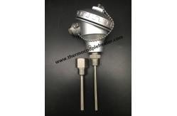China Inserted Temperature Sensor RTD PT100 With Waterproof Head supplier