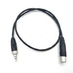 Camera Audio 3.5 Mm Mini Jack To 3 Pin XLR Cable For Microphone for sale