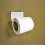 Biodegradable Paper Film For Sustainable Packaging Lightweight Greaseproof