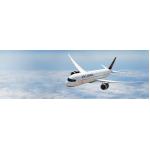 China To Amazon France FBA DDP Freight Forwarder for sale