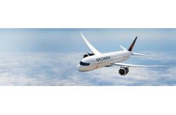 China China To Amazon France FBA DDP Freight Forwarder supplier