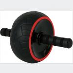 Fitness ABS Gym Exercise Wheel Workout Ab 20kg Muscle Training for sale