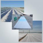 Air Permeable PP Non Woven Fabric For Frost Protection Blanket Crop Cover for sale