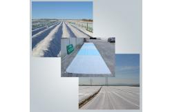China Air Permeable PP Non Woven Fabric For Frost Protection Blanket Crop Cover supplier