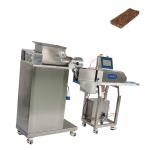 P307 Stainless steel 304 single Line Fruit Bar Making Machine for sale